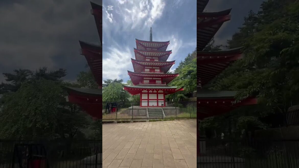 Mt. Fuji Daytour! Japan in June  #mtfuji  #japanbuzz #japantravel #cooljapan #japan #tokyo #shorts