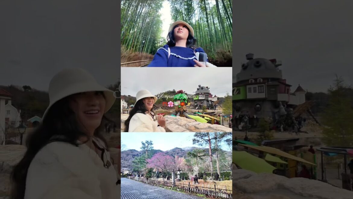 full vlog coming out tmr! exploring Tokyo, Kyoto, Nagoya, and Nara 🌸🍡｡･ﾟﾟ･🪭 #Japan #vlog #travel