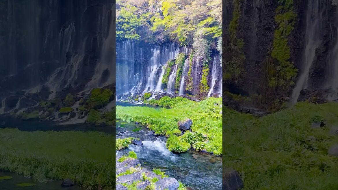 Discover Shiraito Falls – Nature’s Silky Veil in Japan. #shortvideo #travel #nature #japan #relax Discover Shiraito Falls – Nature’s Silky Veil in Japan. #shortvideo #travel #nature #japan #relax