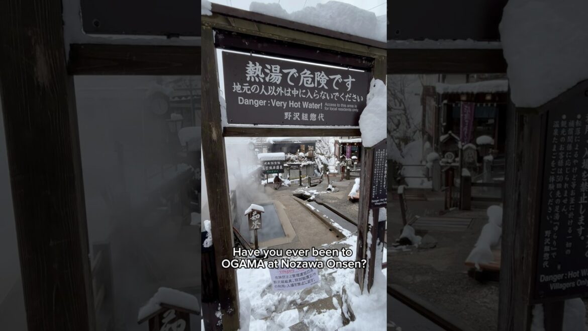 #nozawaonsen #ogama #hotspring #japan #nagano  #野沢温泉 #おがま #温泉卵 #野沢菜 #長野県