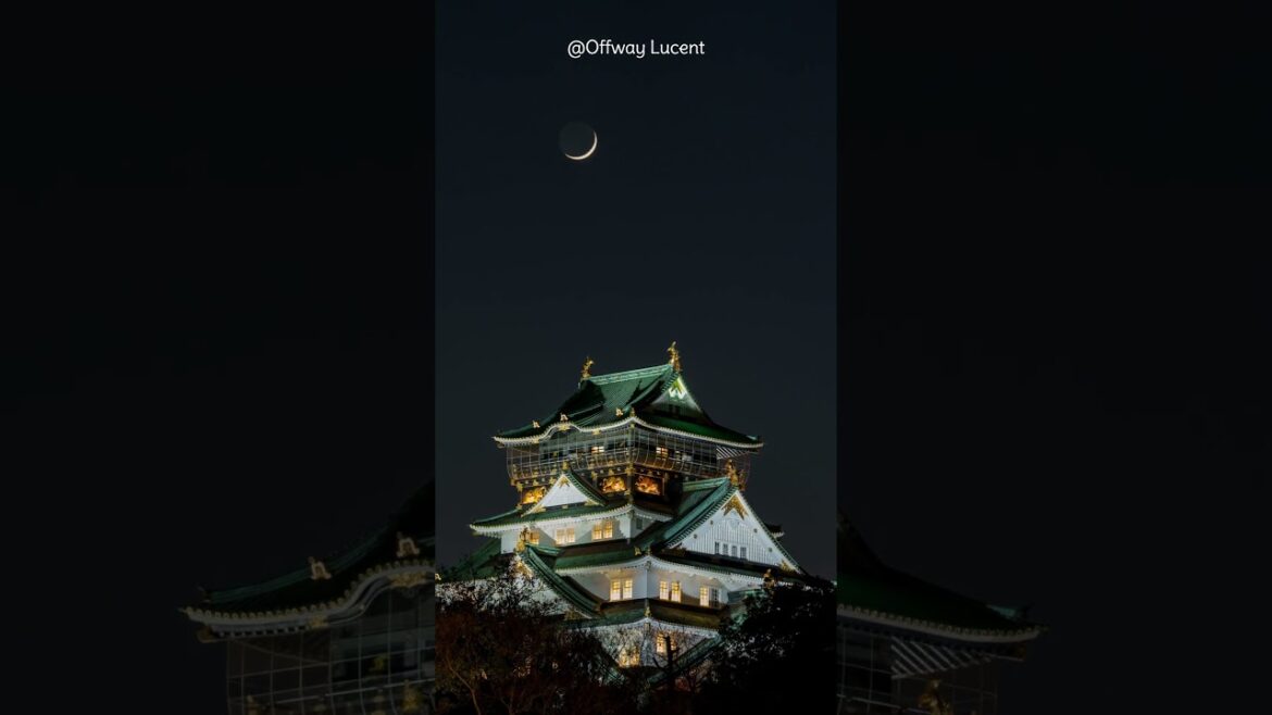 Moonrise Over Osaka Castle π―π΅ | Twilight to Night Aesthetic #shorts #japan #osakacastle #japantravel Moonrise Over Osaka Castle π―π΅ | Twilight to Night Aesthetic #shorts #japan #osakacastle #japantravel