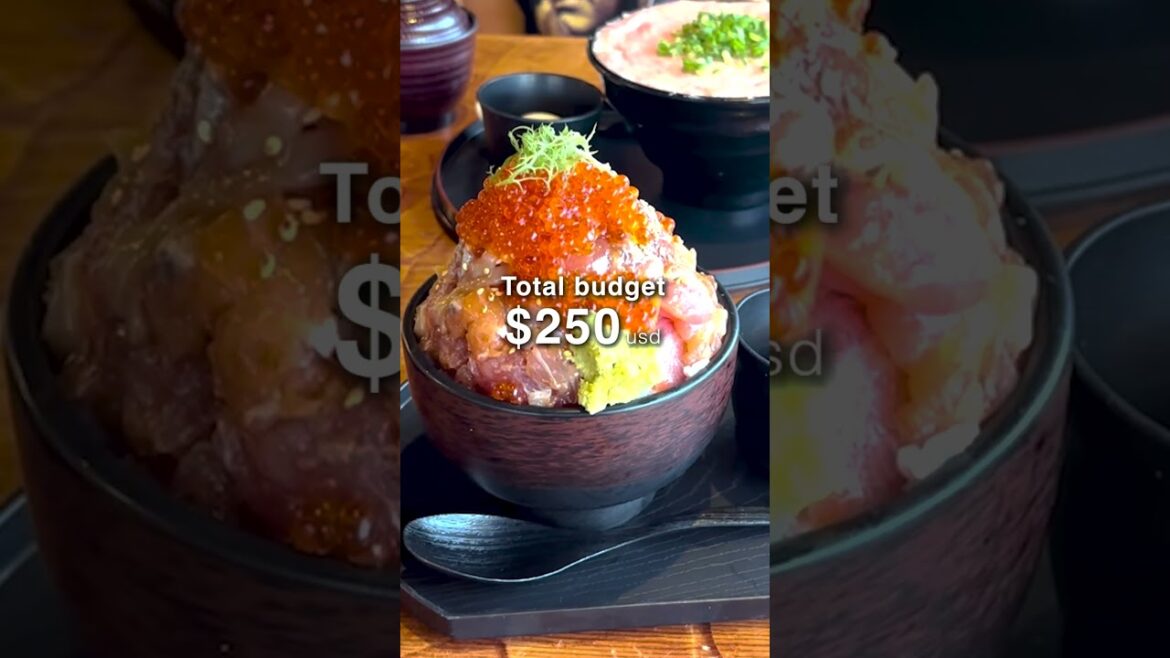 【必見】1泊2日コスパ旅｜20代カップルが選ぶ熱海＆伊豆の映えスポット　 #travel　#伊豆旅　#熱海VLOG