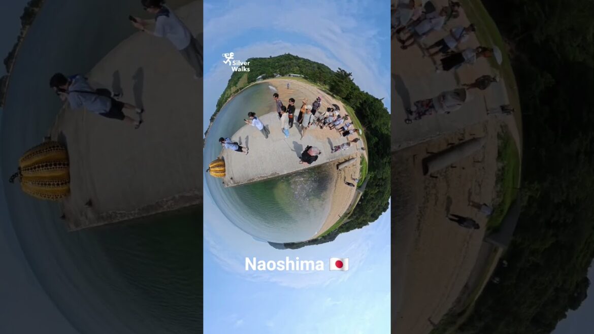 360° Yayoi Kusama’s Yellow Pumpkin on Naoshima: Iconic Art in Motion #naoshima #kusama #insta360x5