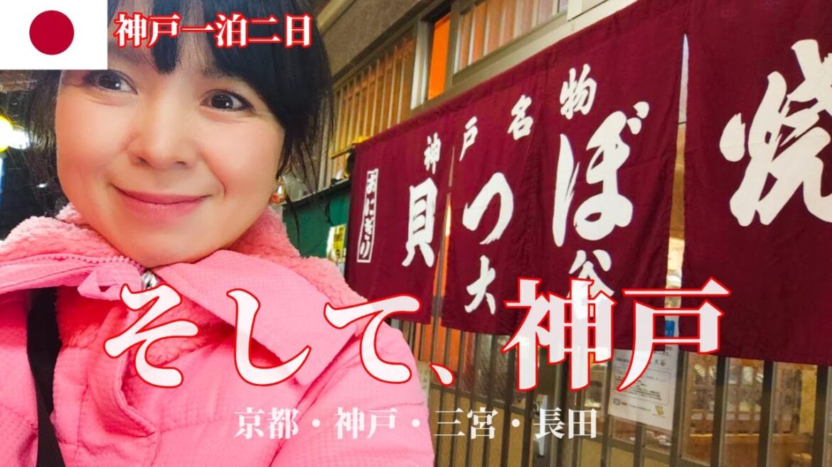【2025年1月神戸三宮1泊2日】🚅新幹線で行って✈飛行機で帰る🗾東京→京都→神戸→東京