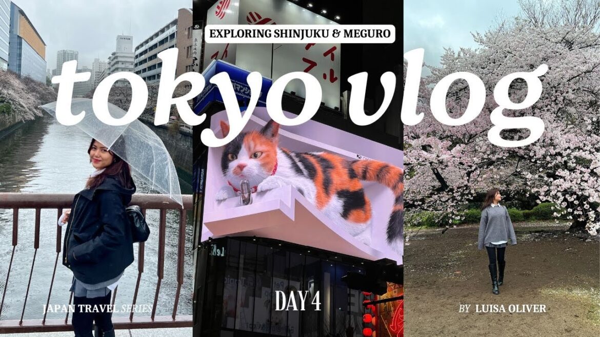TOKYO VLOG 2025, 6D5N ๐ธ Day 4 (DIY Solo Travel, Exploring Shinjuku & Meguro, Cherry Blossoms Spots) TOKYO VLOG 2025, 6D5N ๐ธ Day 4 (DIY Solo Travel, Exploring Shinjuku & Meguro, Cherry Blossoms Spots)