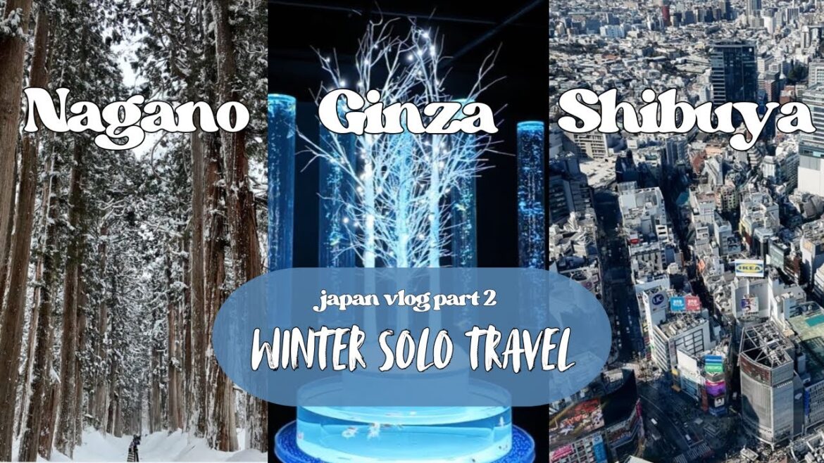 From Mountain Shrines to Tokyo Skies ❄️🏙 | Solo Japan Vlog Part 2