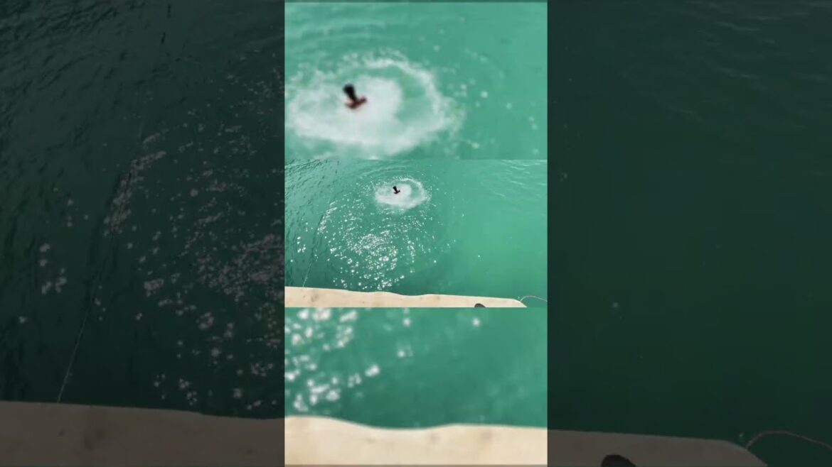 Cinematic View Coron, Palawan π΅π | Taking Lunch in Paradise π΄π½οΈ #shorts #adventure #vlog #beach Cinematic View Coron, Palawan π΅π | Taking Lunch in Paradise π΄π½οΈ #shorts #adventure #vlog #beach