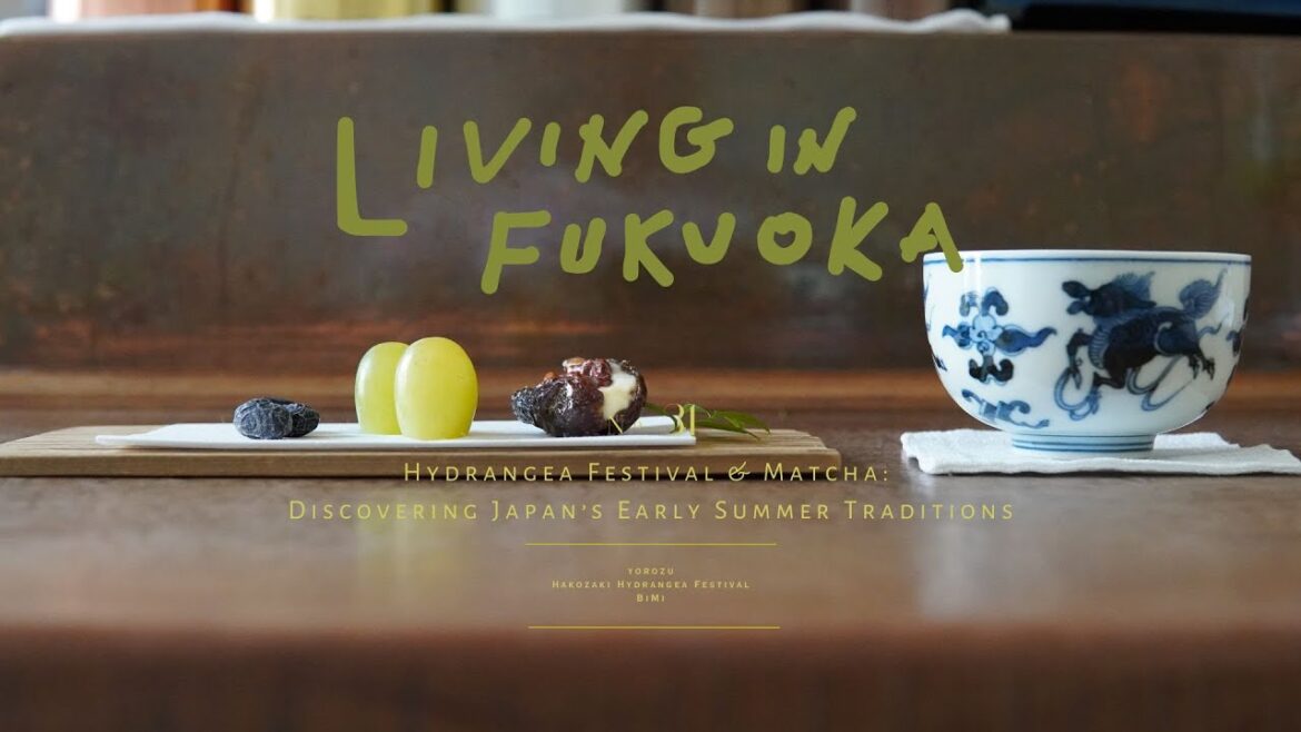 Living in Fukuoka no.31 |  Hydrangeas & Matcha: Discovering Japan’s Early Summer Traditions (4K)