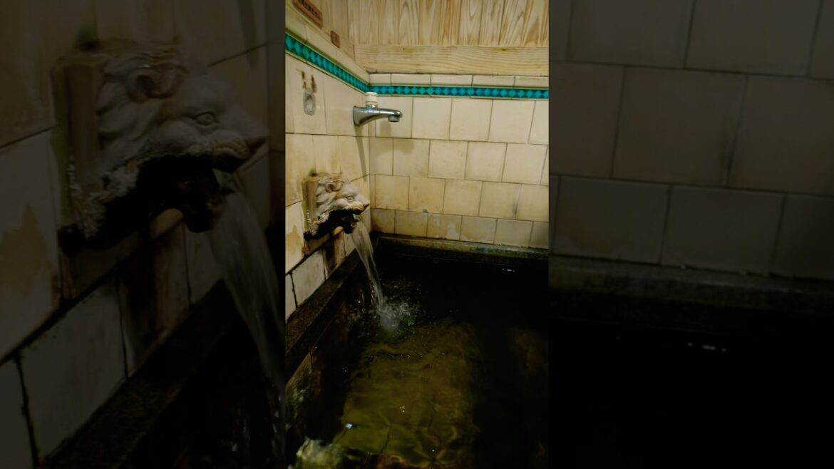 I went to a famous hot spring in Saga Prefecture, Japan#travel #trip #japan #saga
