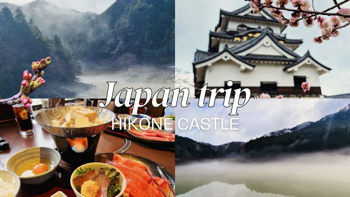♡ JAPAN TRAVEL DIARIES ♡ Family visit | Mountain drive, Hikone Catle, Delicious food 🍲🥢 Love hotel😲