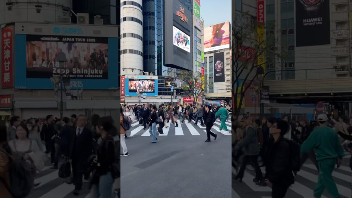 The worlds BUSIEST crossing! 渋谷