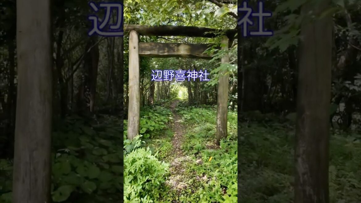 沖縄本島最北端の神社 #japan #旅行 #沖縄観光 #okinawa #travel