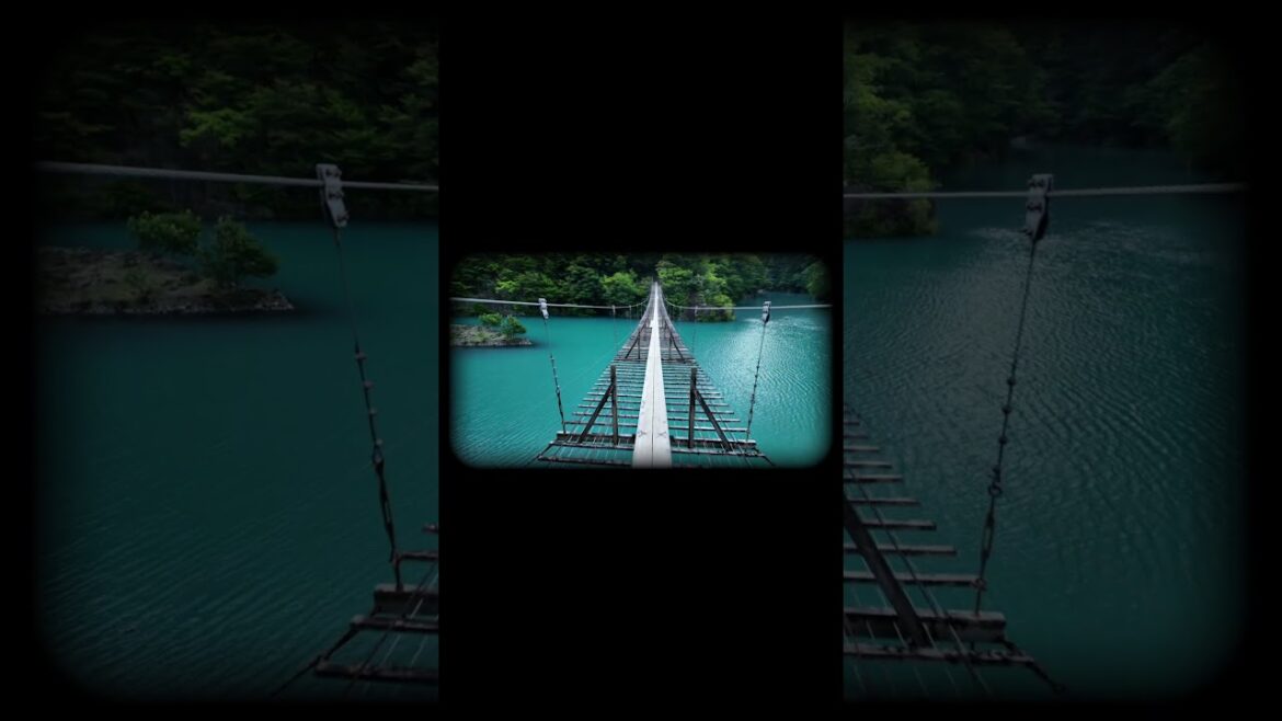 静岡・夢の吊橋へ。  森の中、橋を渡る冒険。#Shizuoka #NatureWalk #4K #Japan #DreamBridge