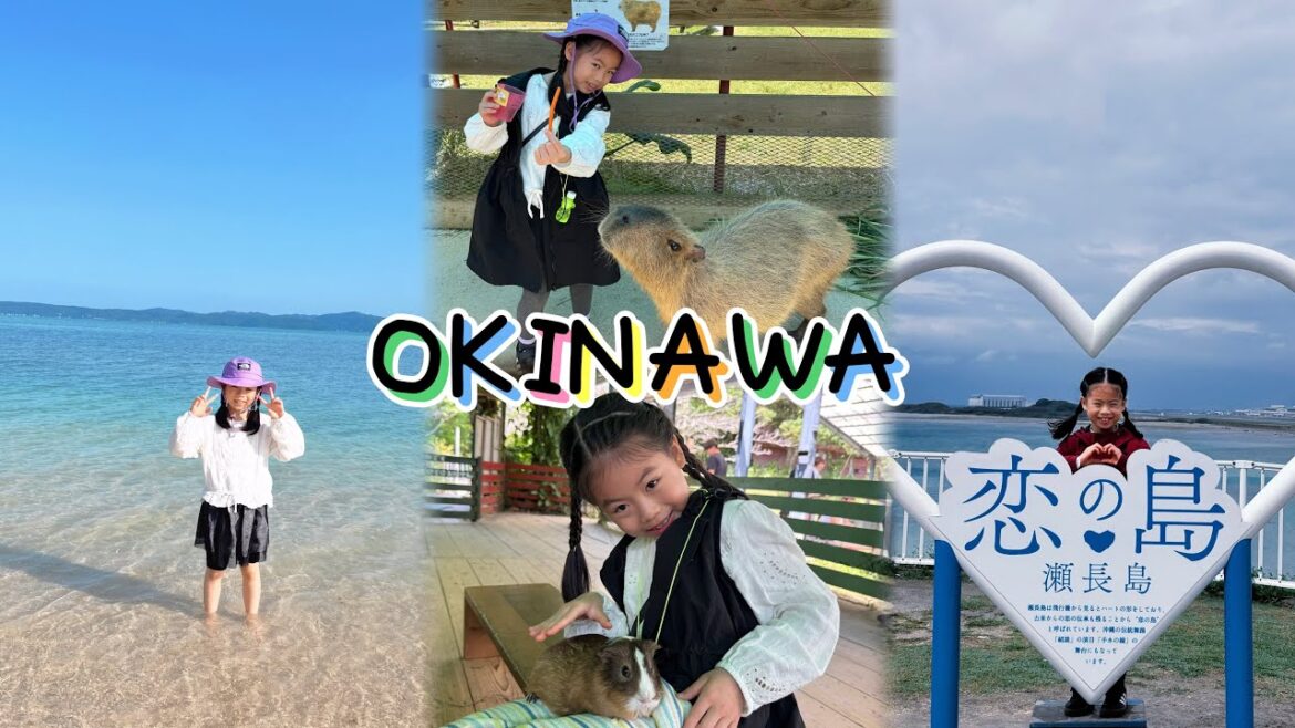 🇯🇵OKINAWA🏝️🍧Family trip to Okinawa 🇯🇵OKINAWA🏝️🍧Family trip to Okinawa