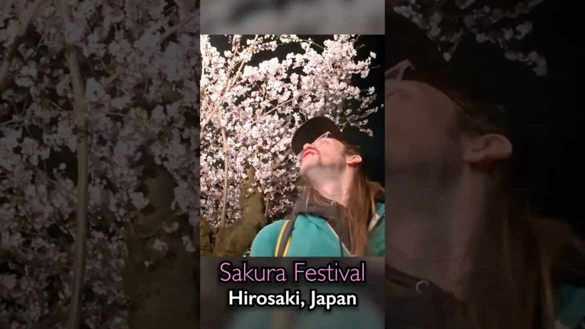 Hirosaki Sakura Festival (More info in desc!) #Japan #travel #solotravel #cherry #spring #aomori