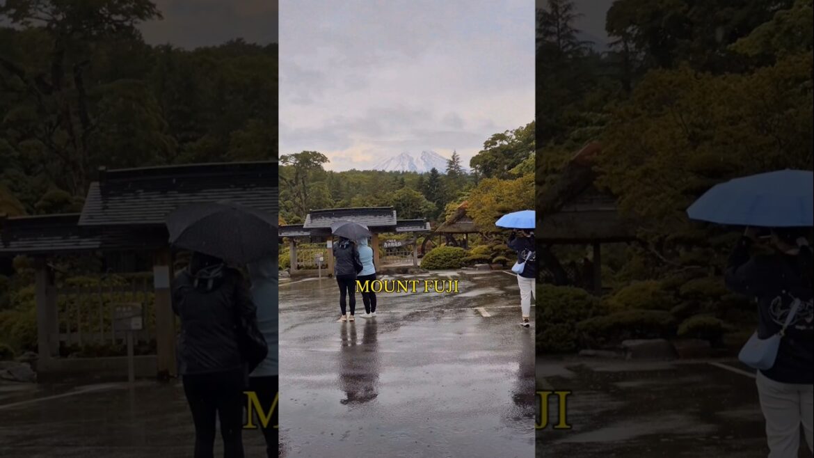 Mount Fuji JAPAN #shorts #japan #mountfuji