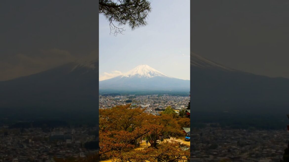 Top 10 Unique Attractions in Japan #trending #travel #shorts #japan #short #attraction