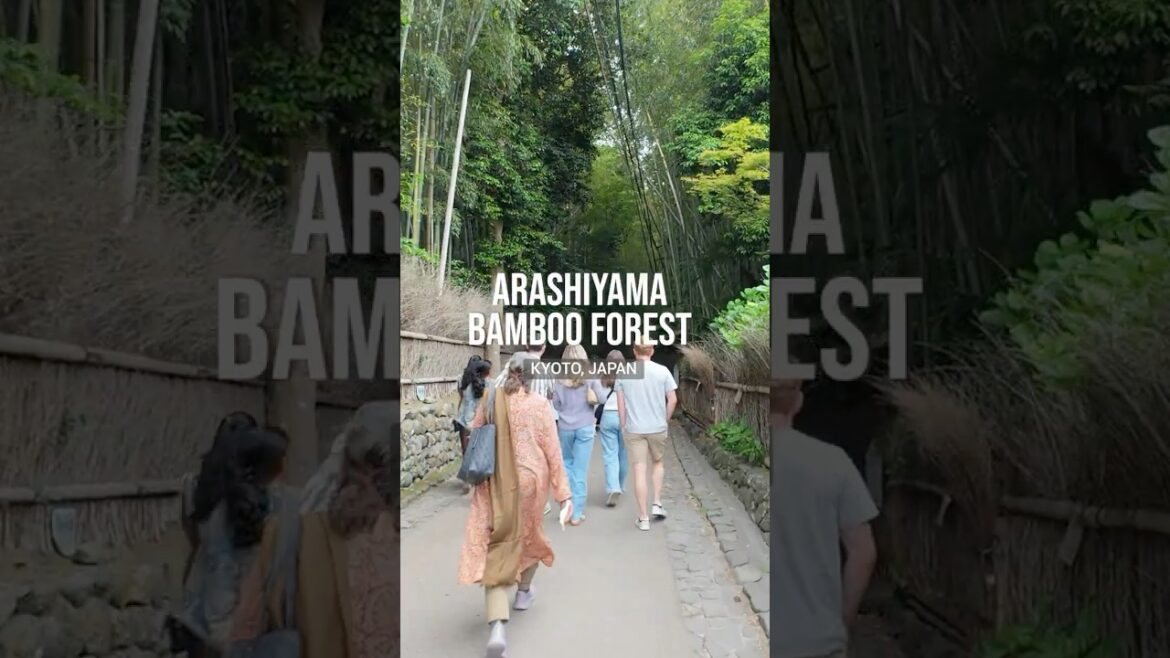 A soundscape place in Japan #walkingtour #arashiyama #shorts