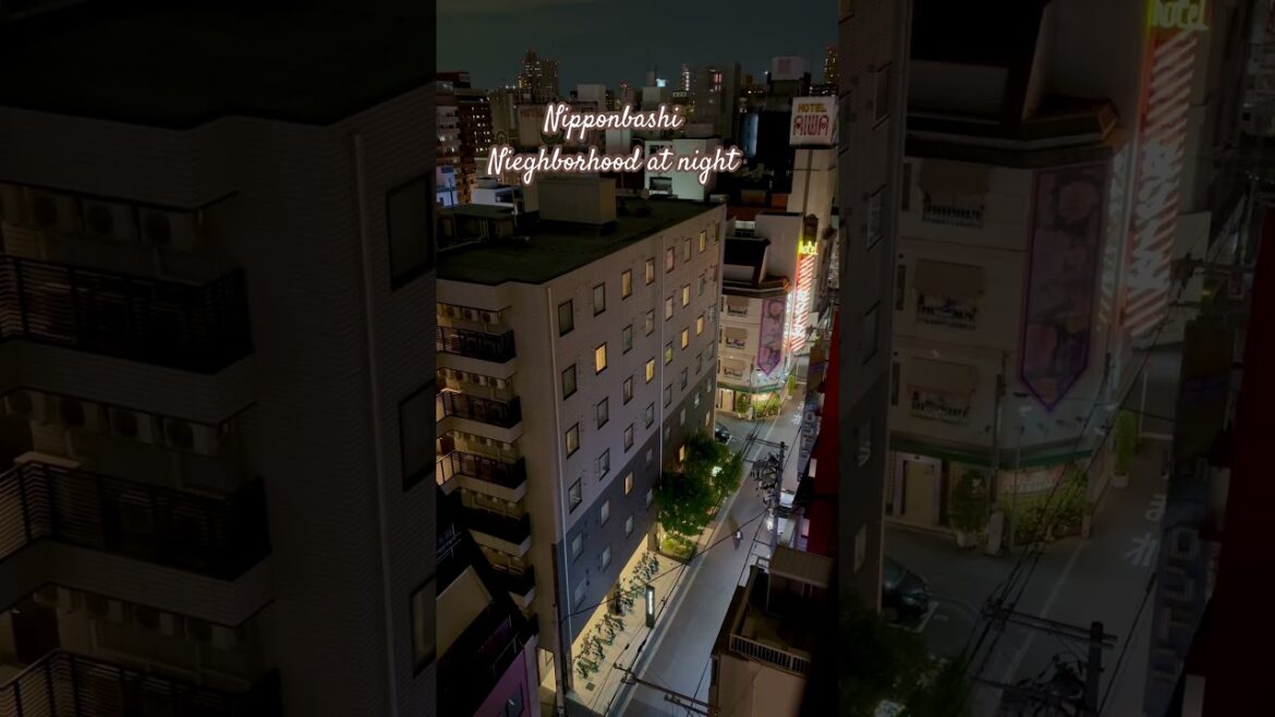 Nipponbashi Neighborhood at night #japan #travel #osaka #nipponbashi #dotonbori #japaneseculture