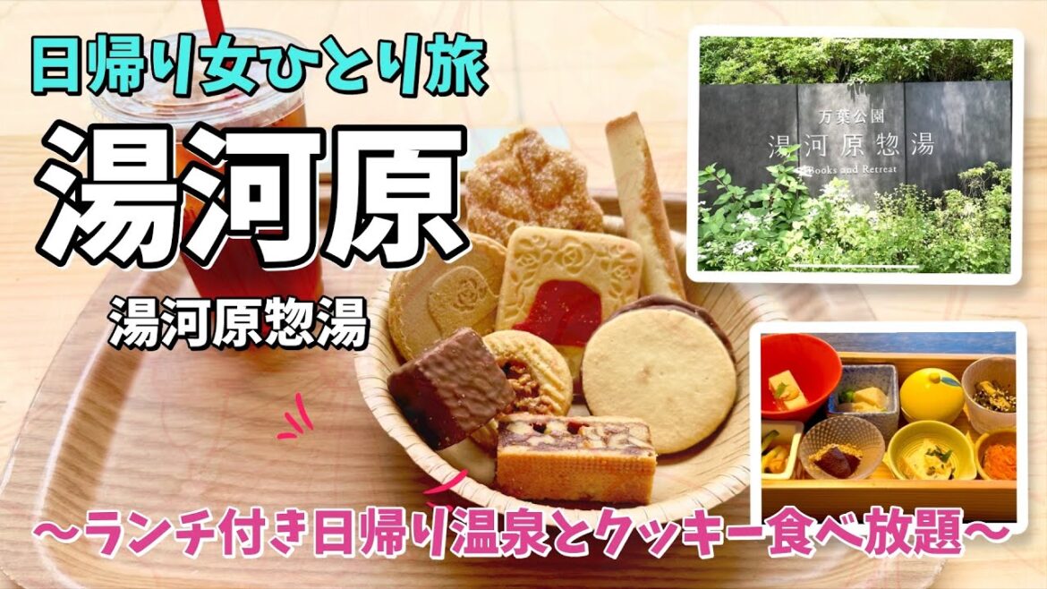 『女ひとり旅』日帰りで湯河原温泉へ!中学生未満は利用不可、静かな空間でととのう大人時間とTIVOLIクッキーバイキング。 おひとり様女子旅|湯河原惣湯テラス|日帰り温泉|温泉女子|旅vlog 『女ひとり旅』日帰りで湯河原温泉へ!中学生未満は利用不可、静かな空間でととのう大人時間とTIVOLIクッキーバイキング。 おひとり様女子旅|湯河原惣湯テラス|日帰り温泉|温泉女子|旅vlog