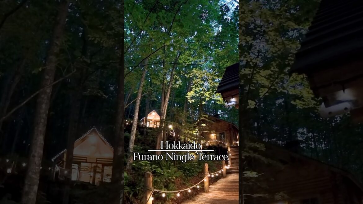 【富良野】夜の森に灯る小さな物語 – 富良野・ニングルテラス｜A Tiny Story Illuminated in the Night Forest – Furano Ningle Terrace