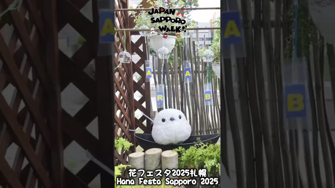 🇯🇵花フェスタ2025札幌 大通公園 散歩!#花フェスタ #札幌 #北海道 #観光 🇯🇵花フェスタ2025札幌 大通公園 散歩!#花フェスタ #札幌 #北海道 #観光