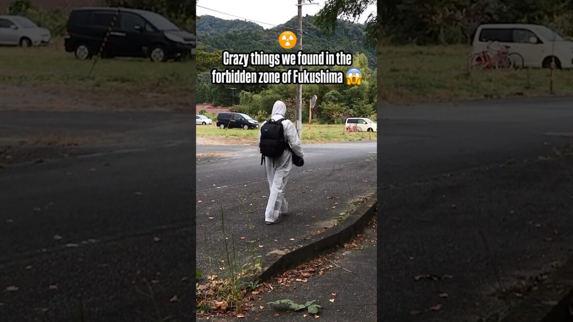 Craziest things we have found in the nuclear zone of Fukushima