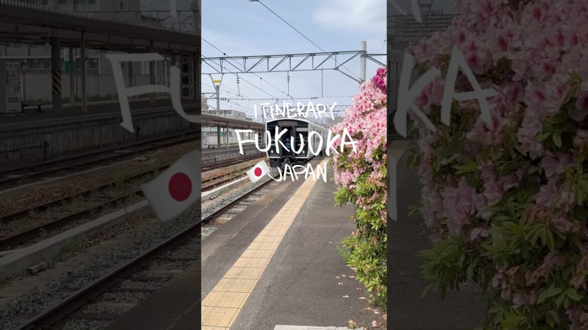 Fukuoka Itinerary - 5 Must VISIT places in Fukuoka Japan