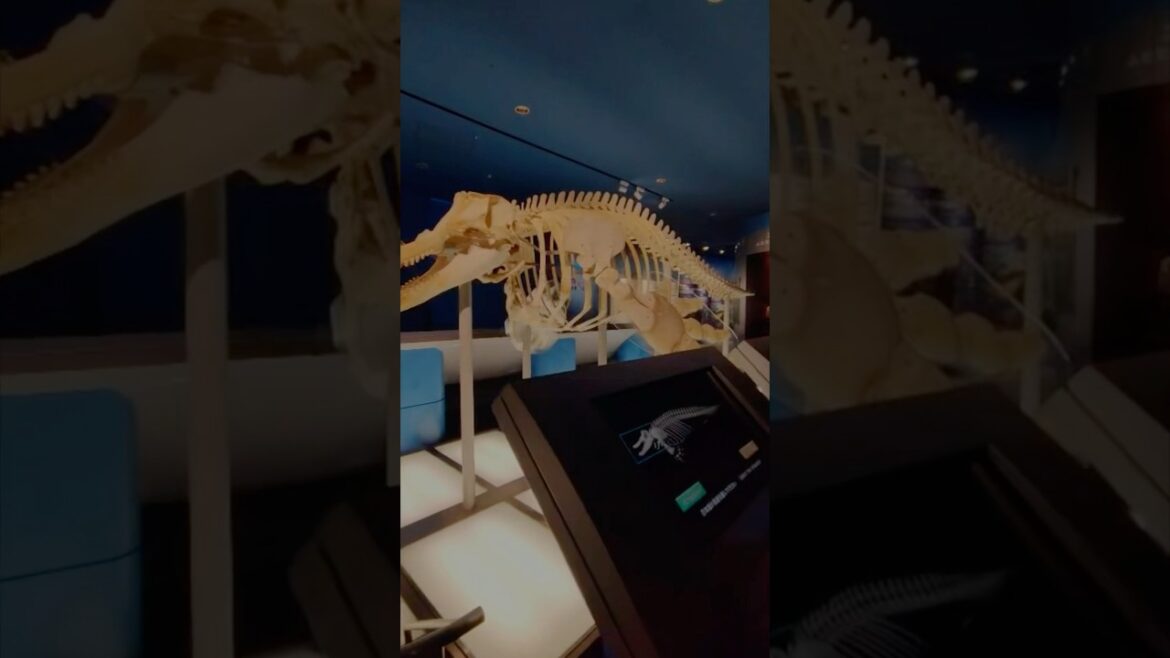 port aquarium , nagoya japan. #japan #travel #youtubeshorts #viral