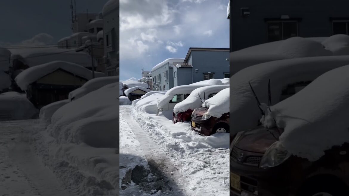 Snow in Niigata in Japan”: #zoomandroam #shortvideo #japan #travel