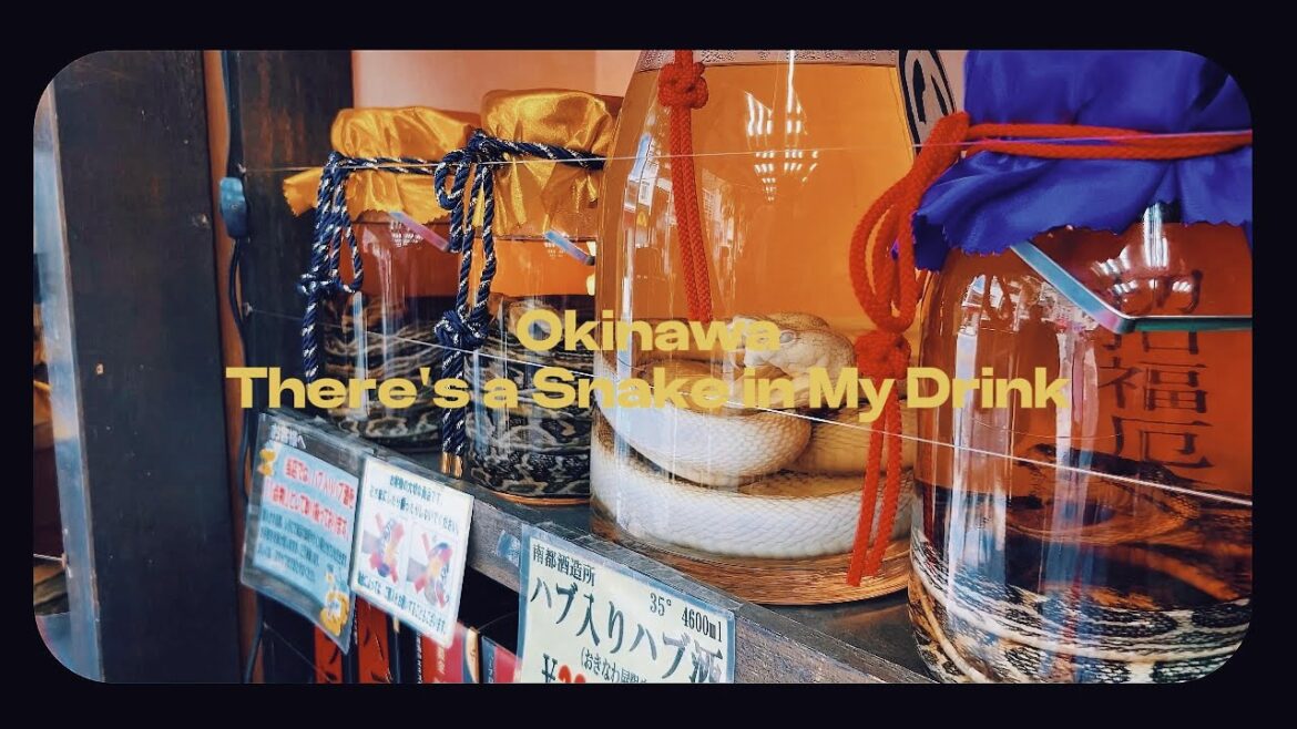 Okinawa, There’s a Snake in My Drink! Okinawa, There's a Snake in My Drink!