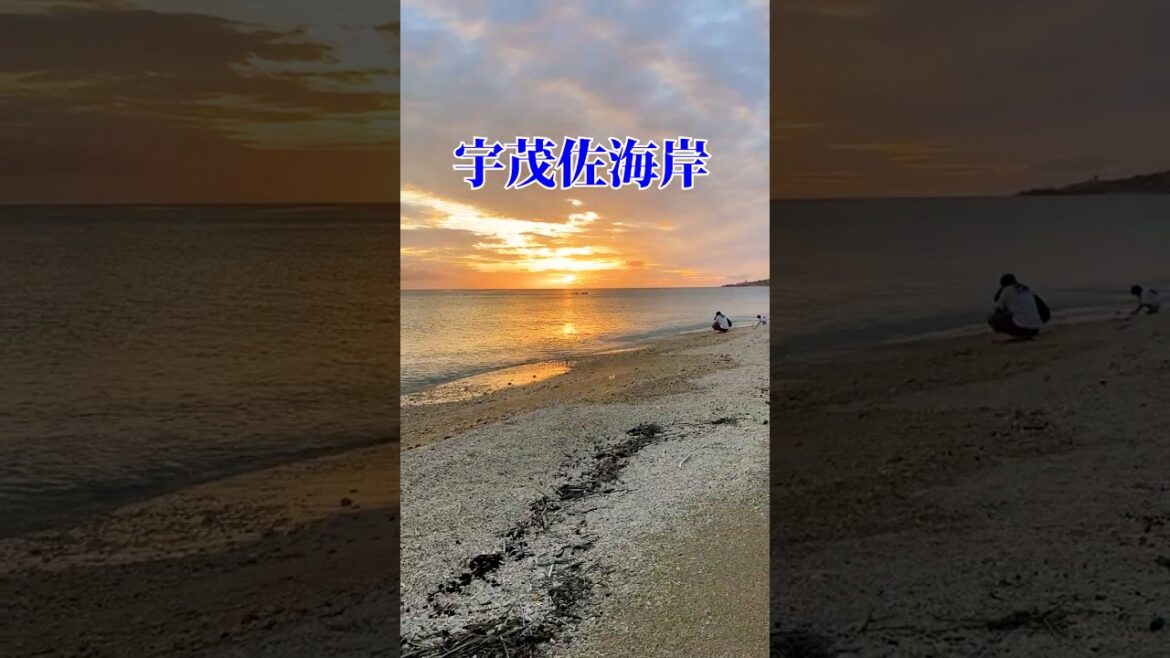 【宇茂佐海岸】名護の21世紀の森ビーチから少し西に歩くと宇茂佐海岸に出ます。夕陽が美しく見えるビーチなので、夕方によく散歩します。#shorts