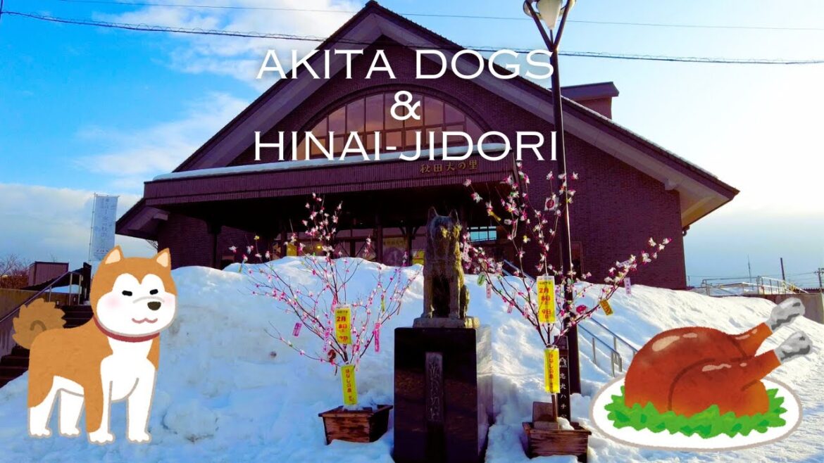 【Vlog: Akita 】Japan’s natural monuments encountered in Hachiko’s hometown. 【Vlog: Akita 】Japan's natural monuments encountered in Hachiko's hometown.