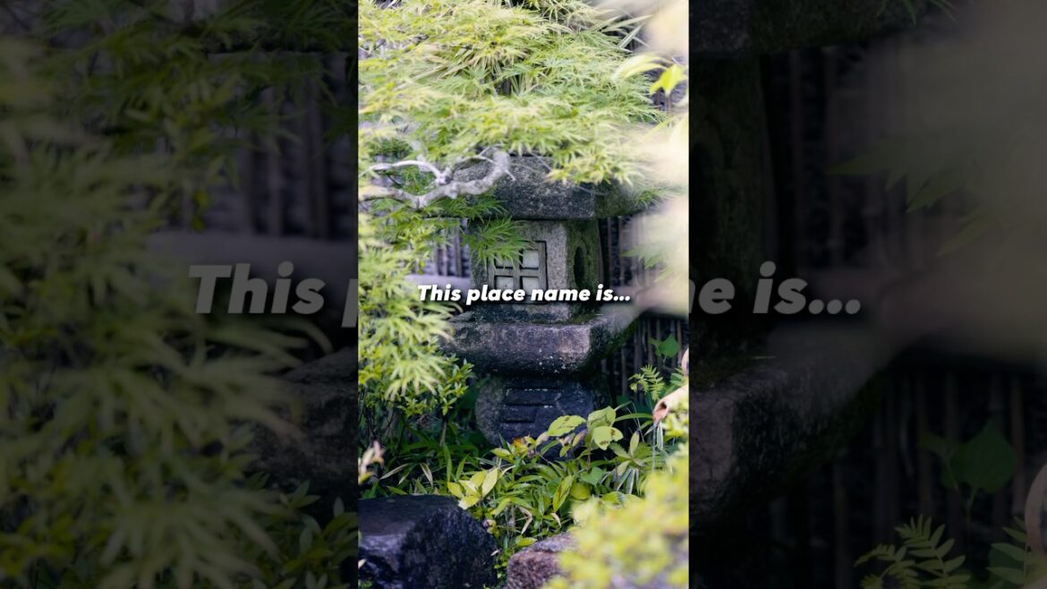 “A tattoo-friendly hot spring, you can visit using the Hakone Freepass.” #zen #japan #travel #hakone “A tattoo-friendly hot spring, you can visit using the Hakone Freepass.” #zen #japan #travel #hakone