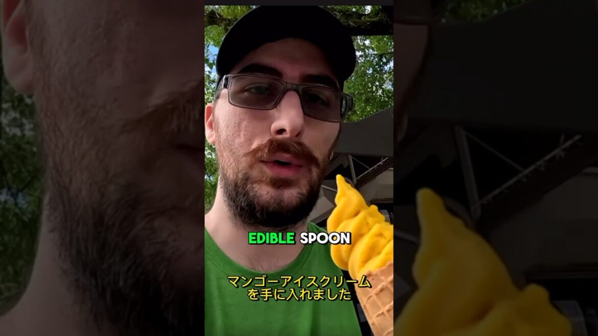 $2.95 Mango Ice Cream in Hiroshima π―π΅ $2.95 Mango Ice Cream in Hiroshima π―π΅