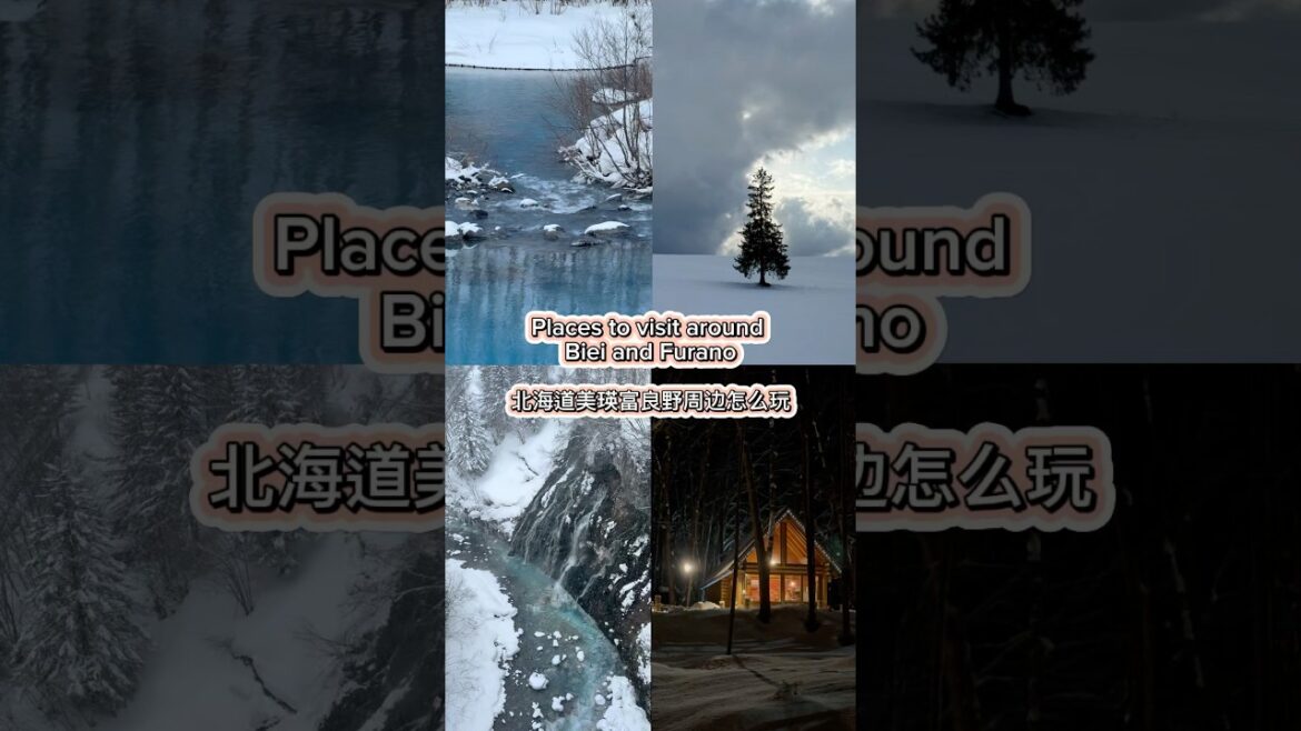 Biei and Furano, Hokkaido – What to do | 北海道美瑛富良野周边怎么玩 🇯🇵 Biei and Furano, Hokkaido - What to do | 北海道美瑛富良野周边怎么玩 🇯🇵