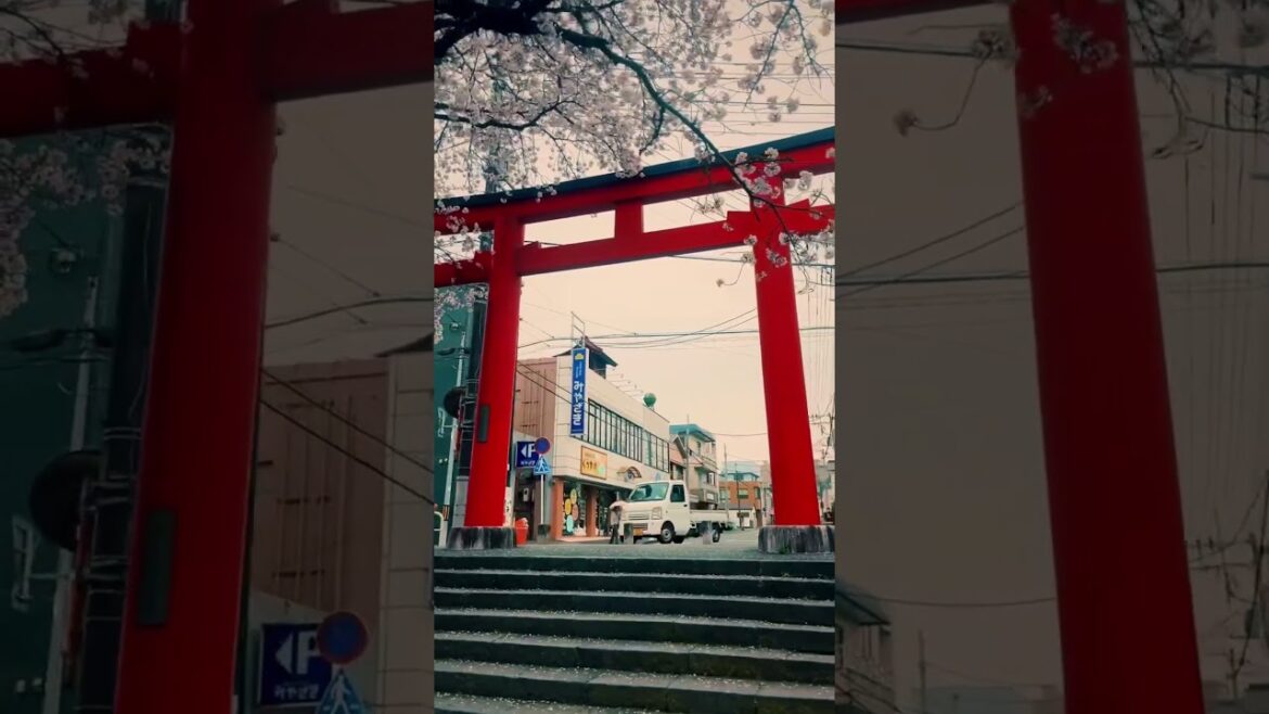 i think you dont know this play #shorts #nature #travel #japan i think you dont know this play #shorts #nature #travel #japan