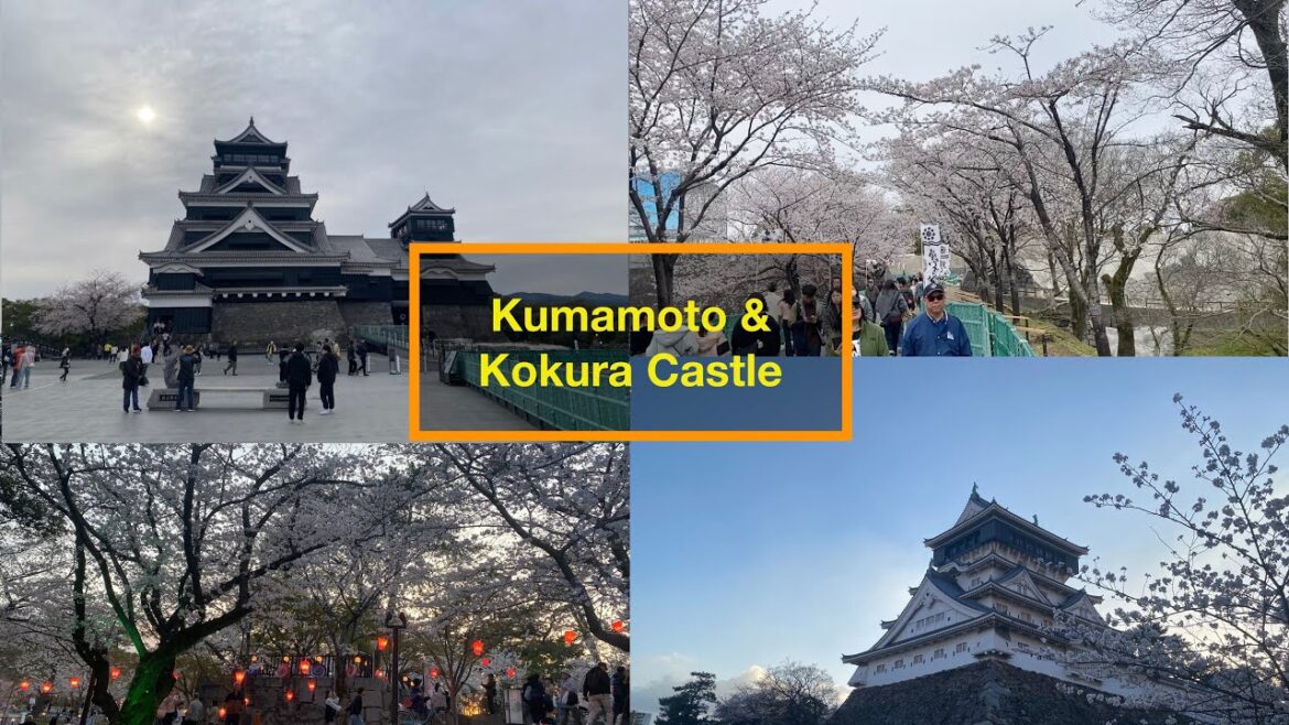 Spring Beauty of Japan: Cherry Blossoms at Kumamoto & Kokura Castles 🌸🏯