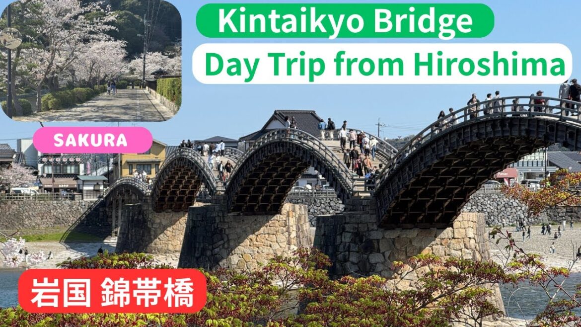 Beautiful Bridge , Beautiful Sakura , Great Atmosphere “Kintaikyo”
