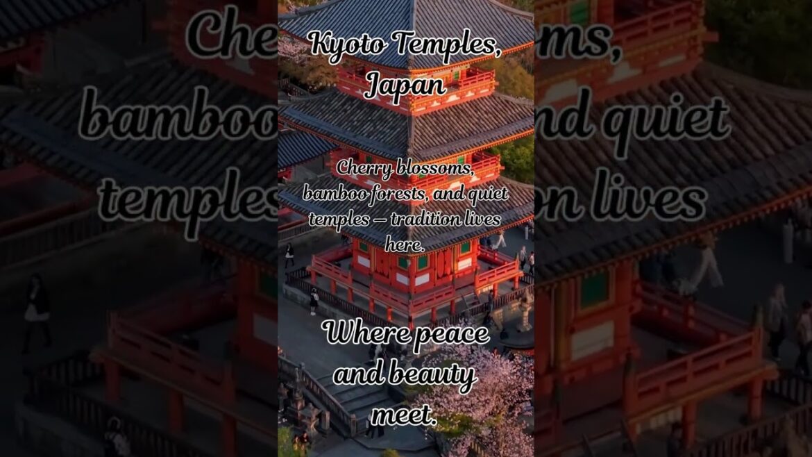 Kyoto Temples, Japan #kyototemples #japantravel #zenvibes  #culturaljourney #viralshorts #travel