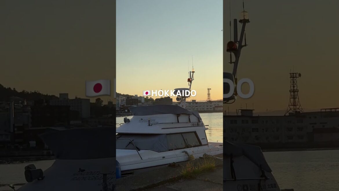 #函館 #金森赤レンガ倉庫 #夕焼け #波止場 #イカ釣り #漁船 #hakodate #hokkaido