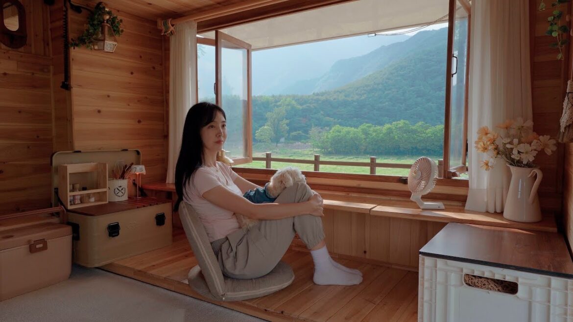 ๐์ด๋๊ฐ๋ ๊ทธ๋ฆผ์ด ๋๋ค!ํต์ฐฝ์ด ์๋ ํธ๋ญ์ผ๋ก ๋ฌด๋ฆ๋์๊ฐ์ ๋ผ๋ฒค๋ ๋ฐญ ์ฐจ๋ฐ์ฌํ | ํญ๋ฆฝ๊ณผ ์งํ๊ฒํฐ | ํ๊ฒฝํ ๐์ด๋๊ฐ๋ ๊ทธ๋ฆผ์ด ๋๋ค!ํต์ฐฝ์ด ์๋ ํธ๋ญ์ผ๋ก ๋ฌด๋ฆ๋์๊ฐ์ ๋ผ๋ฒค๋ ๋ฐญ ์ฐจ๋ฐ์ฌํ | ํญ๋ฆฝ๊ณผ ์งํ๊ฒํฐ | ํ๊ฒฝํ