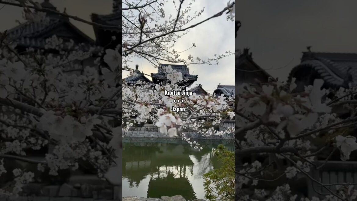 Historic Kibitsu Jinja shrine in Okayama, Japan #koi #japan #travel #shrots #japanesetemple