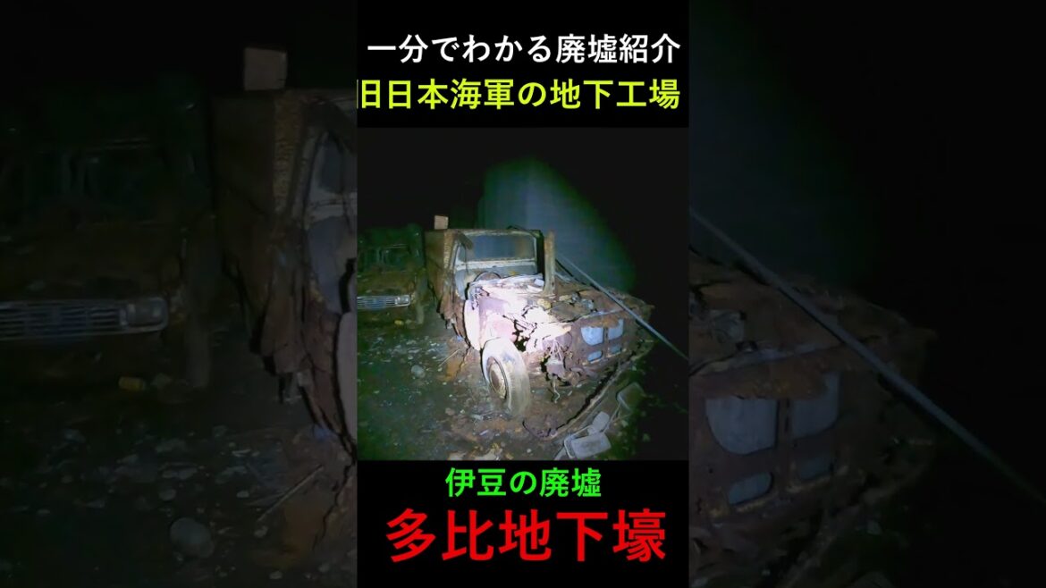 【1分で廃墟紹介】沼津の廃墟「多比の巨大地下空間」の見どころ #廃墟 #廃墟探索 #静岡 #街歩き #伊豆 #観光 【1分で廃墟紹介】沼津の廃墟「多比の巨大地下空間」の見どころ #廃墟 #廃墟探索 #静岡 #街歩き #伊豆 #観光