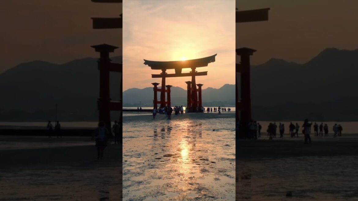 The Floating Shrine: Inside Japan’s Most Magical Island The Floating Shrine: Inside Japan's Most Magical Island