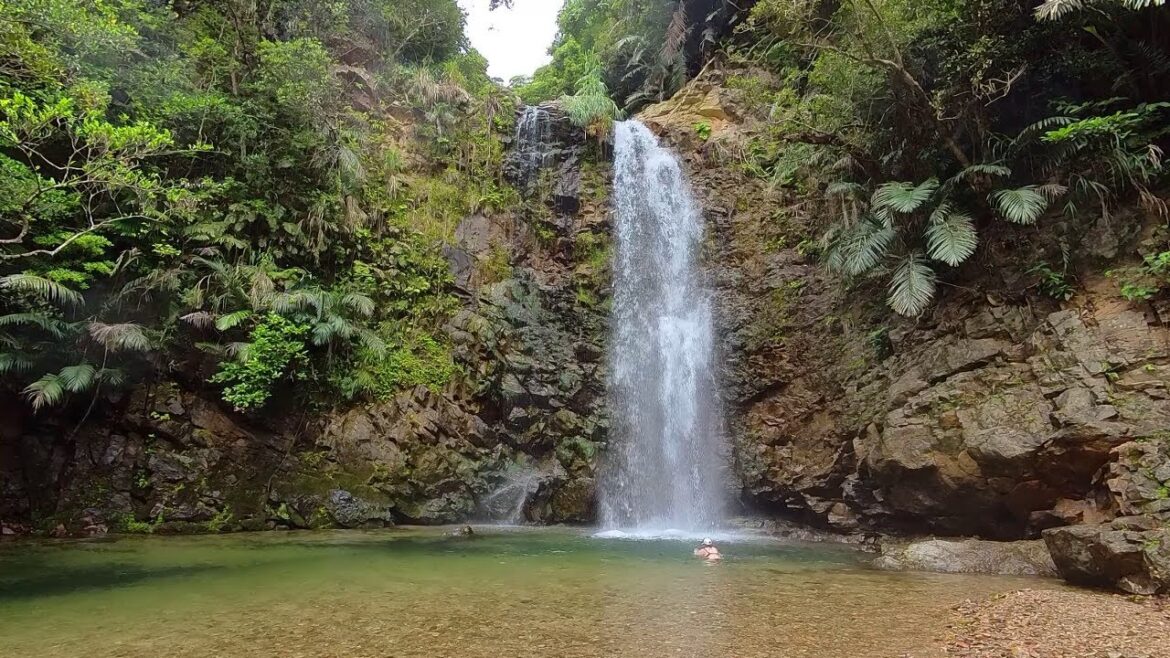 Ta-Taki Falls Hike - Okinawa, Japan - Insta360 GO 3S Action Camera - June 2025