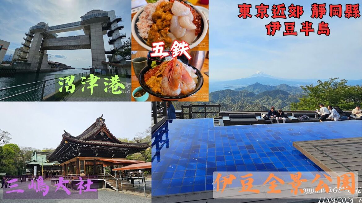 #路況 #街景 #行車情況 一日自駕遊 御殿場 沼津港 沼津魚市場 海鮮丼専門 五鉃沼津本店 三嶋大社 伊豆全景公園 #你幾時嚟日本玩 #日旅族 #観光スポット #日本 #にほん #japan