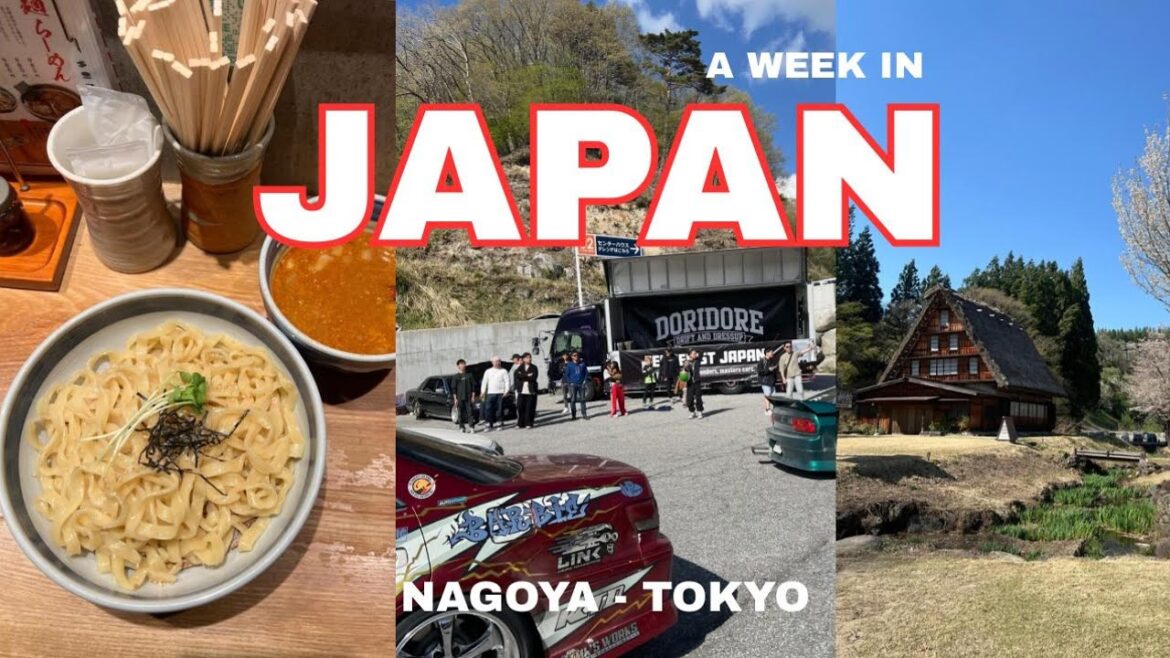 A WEEK IN JAPAN (NAGOYA - TOKYO) TRAVEL VLOG