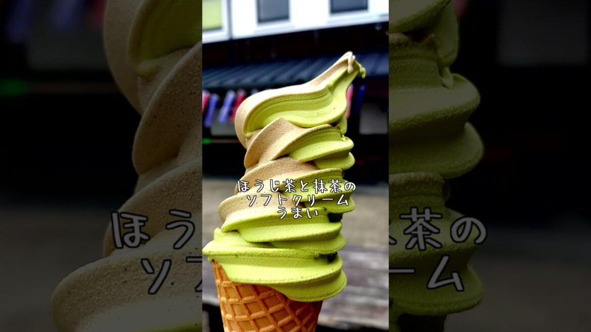 【静岡】高速バスDE弾丸ツアーのすゝめ2【旅行】#shorts 【静岡】高速バスDE弾丸ツアーのすゝめ2【旅行】#shorts