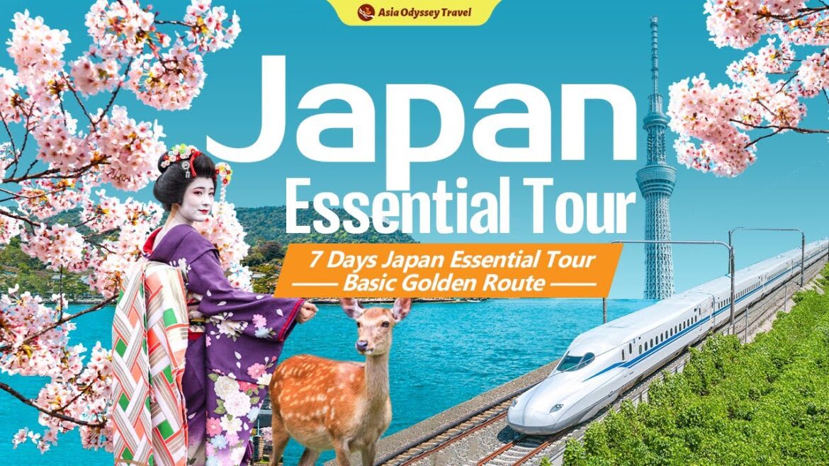 Japan Golden Route Tour: 7 Days in Tokyo, Kyoto, Nara & Osaka (Essential Guide)